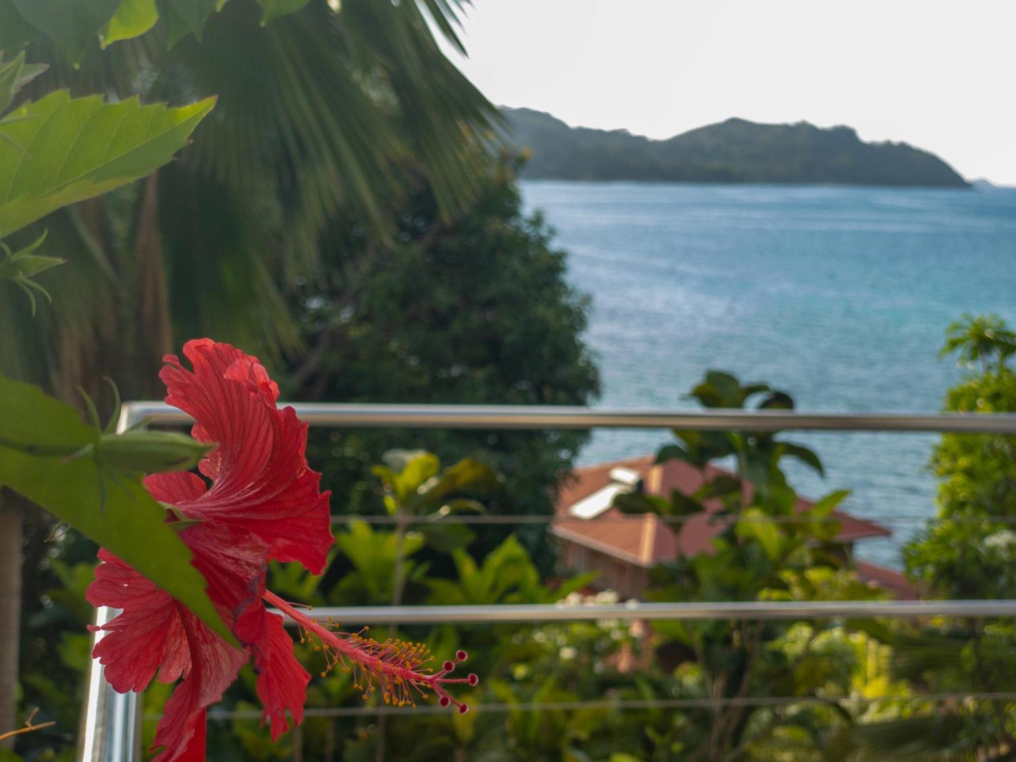 Villa Passage Du Soleil Anse Volbert Village Esterno foto